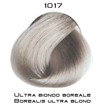 HAIR COLOUR 1017